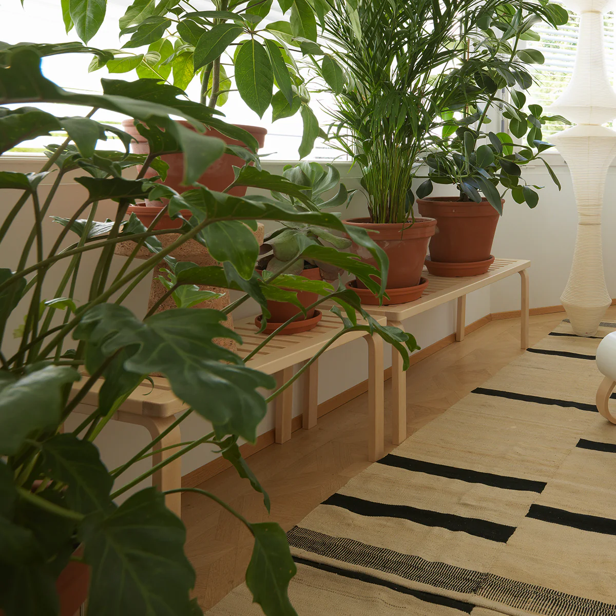 Artek Alvar Aalto Bench 153A - Image 7