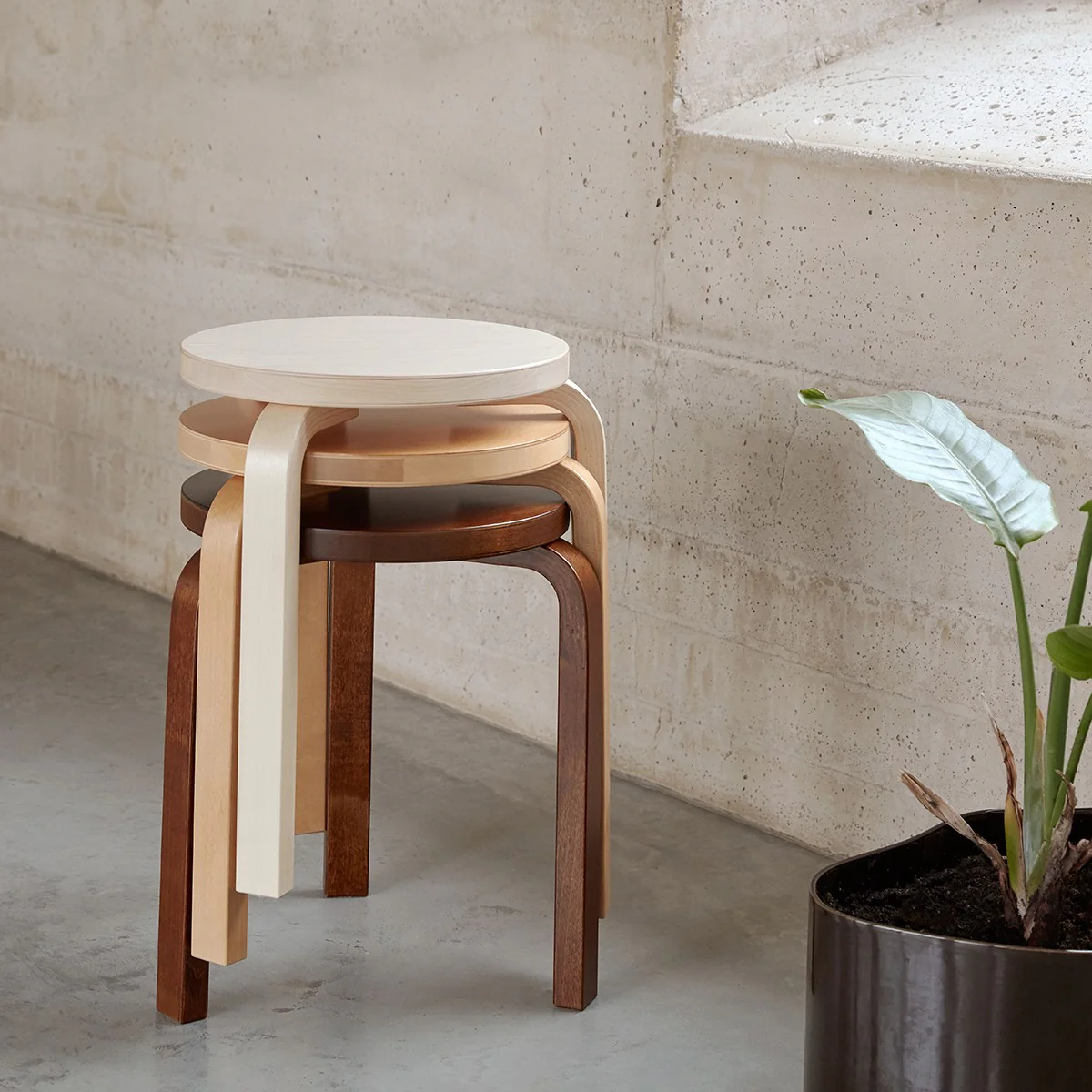 Artek Alvar Aalto Stool 60 - Three Legged Stool - Walnut Stained - Image 4