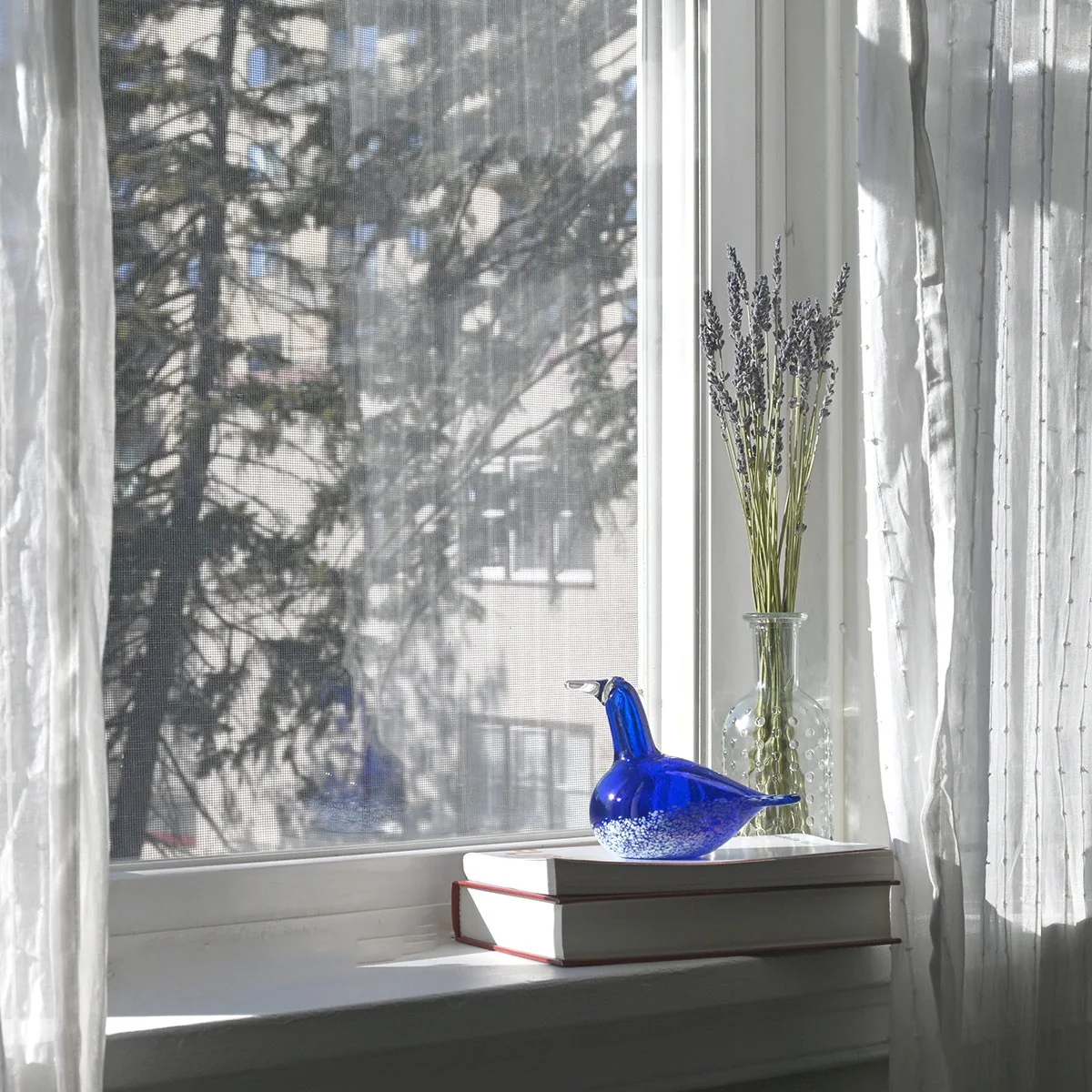 Bianco Blu Blue Swan - Image 5