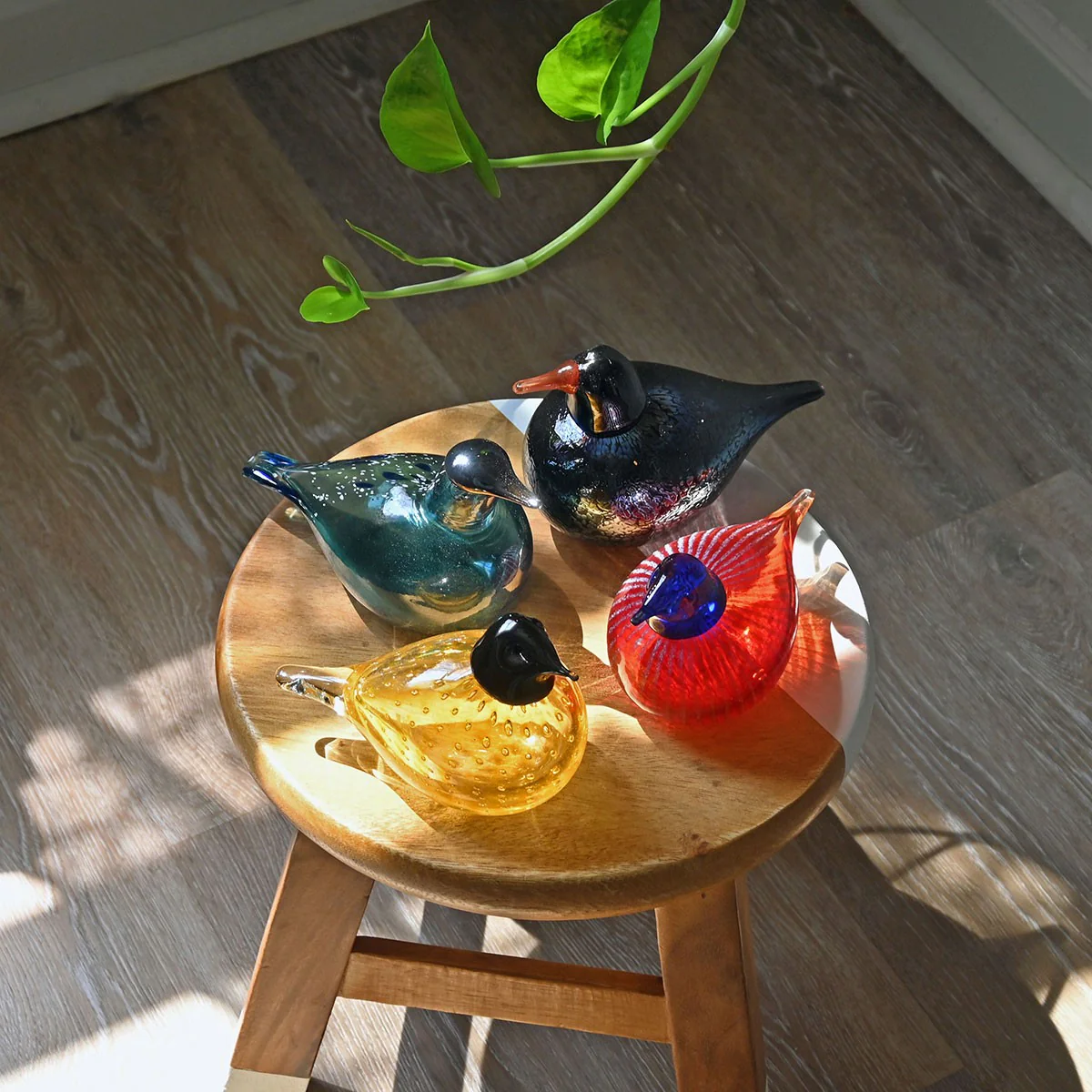 Bianco Blu Pine Bird - Image 4