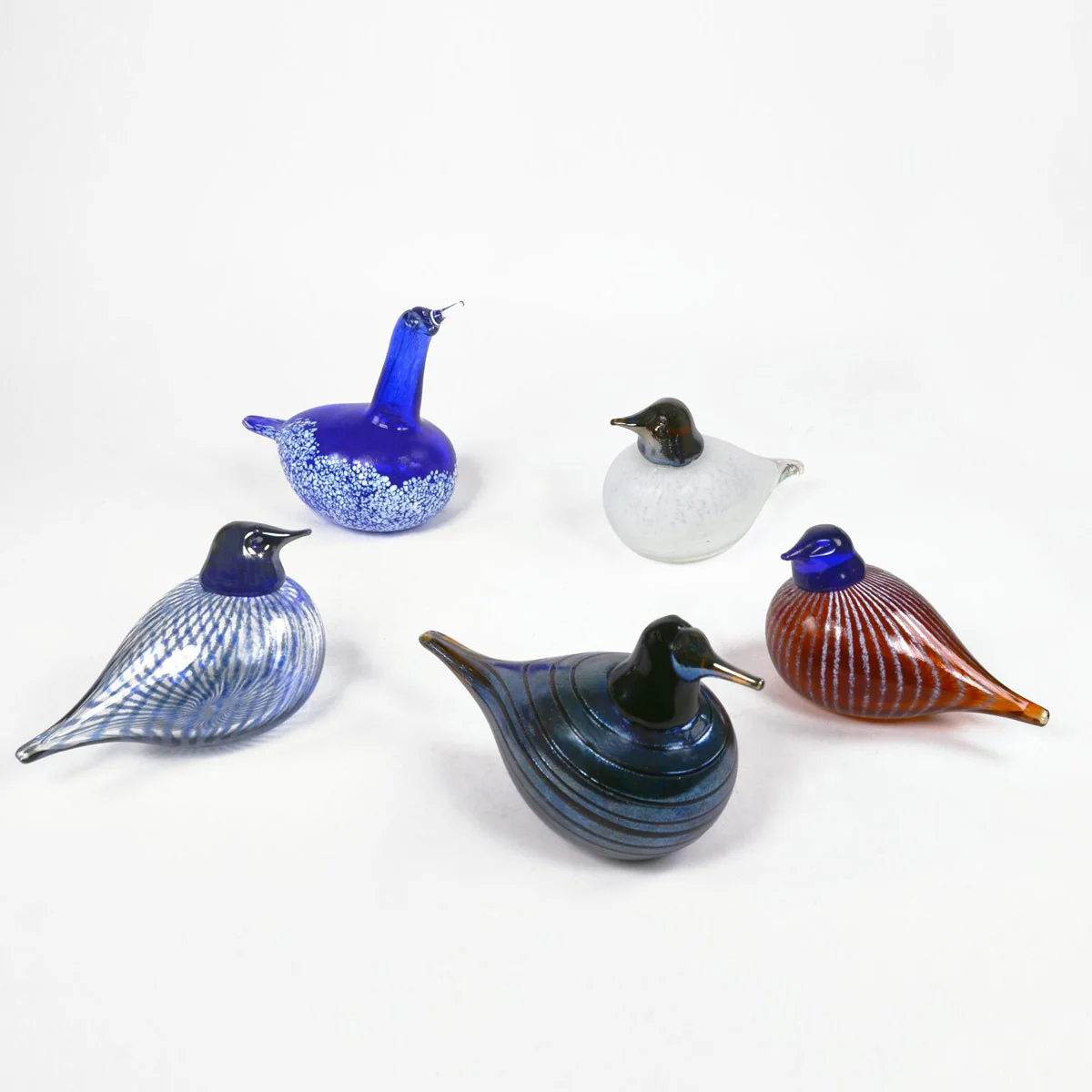 Bianco Blu Silver Tape Bird - Image 4