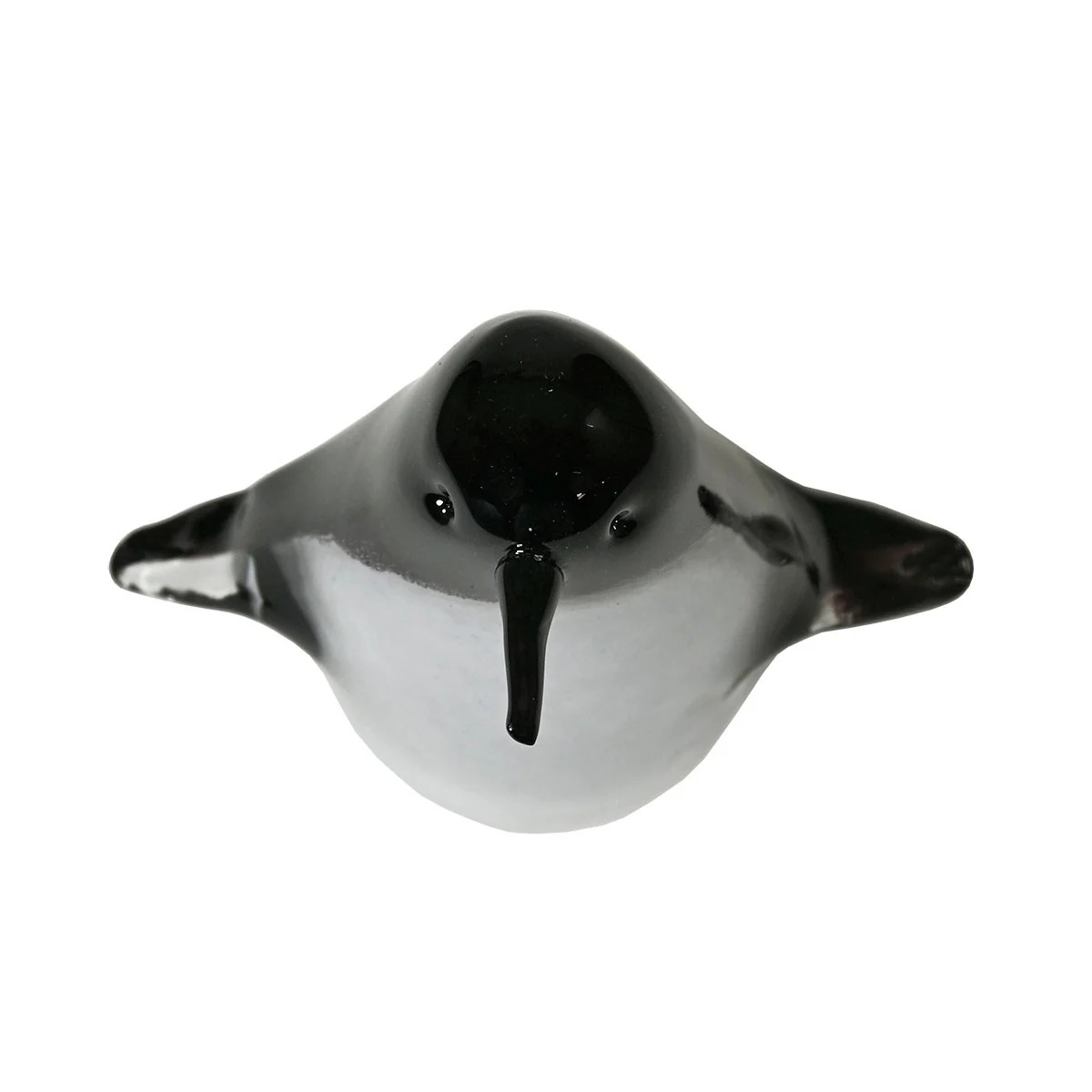 Bianco Blu Penguin - Image 4