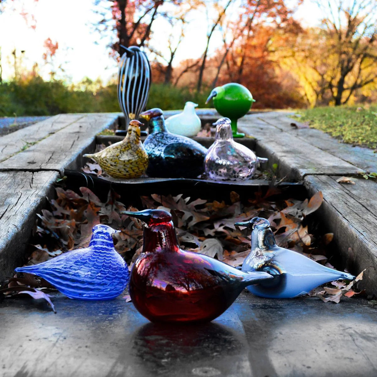 iittala Toikka Blue Bird - Image 6