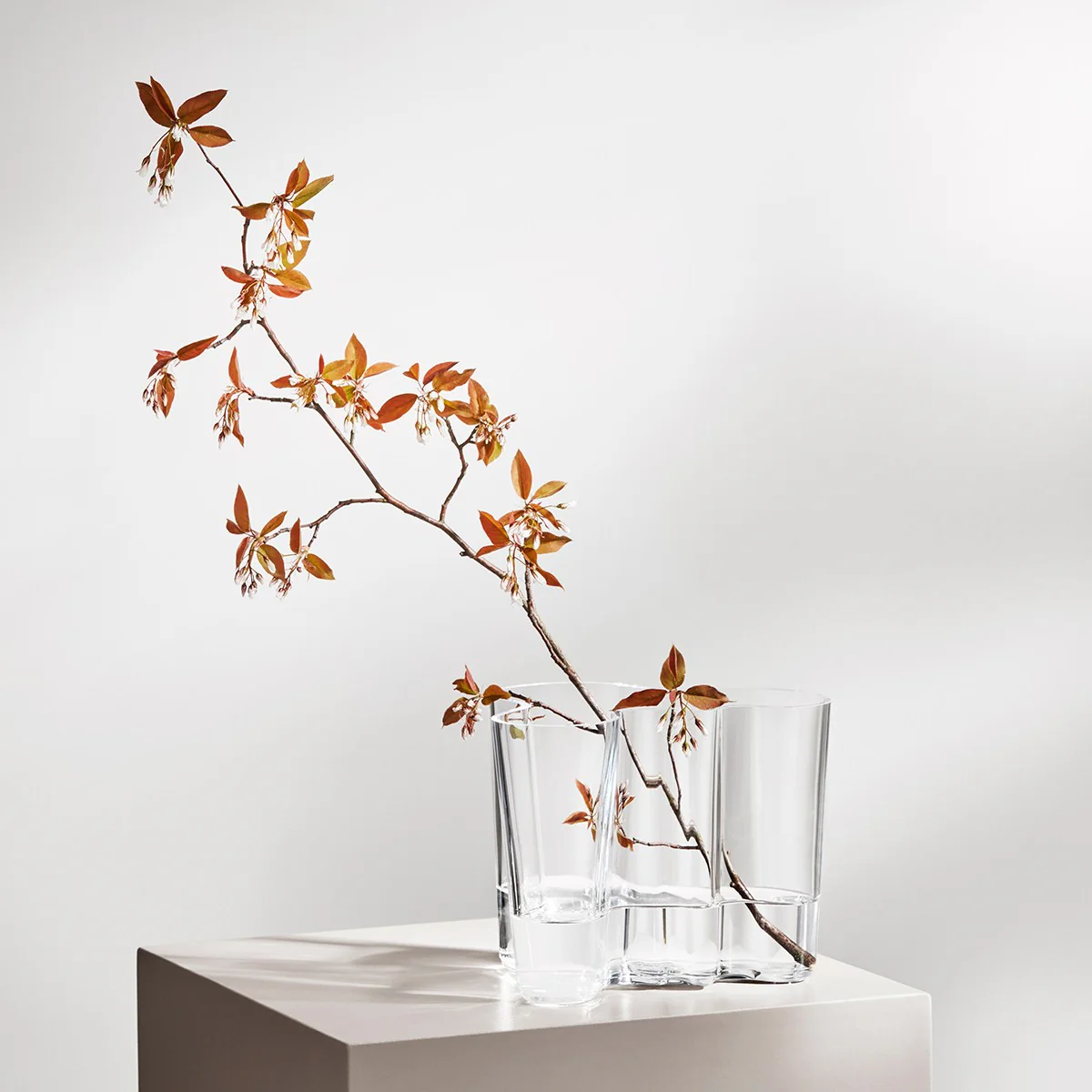 iittala Aalto Clear Vase - 6-1/4" - Image 3