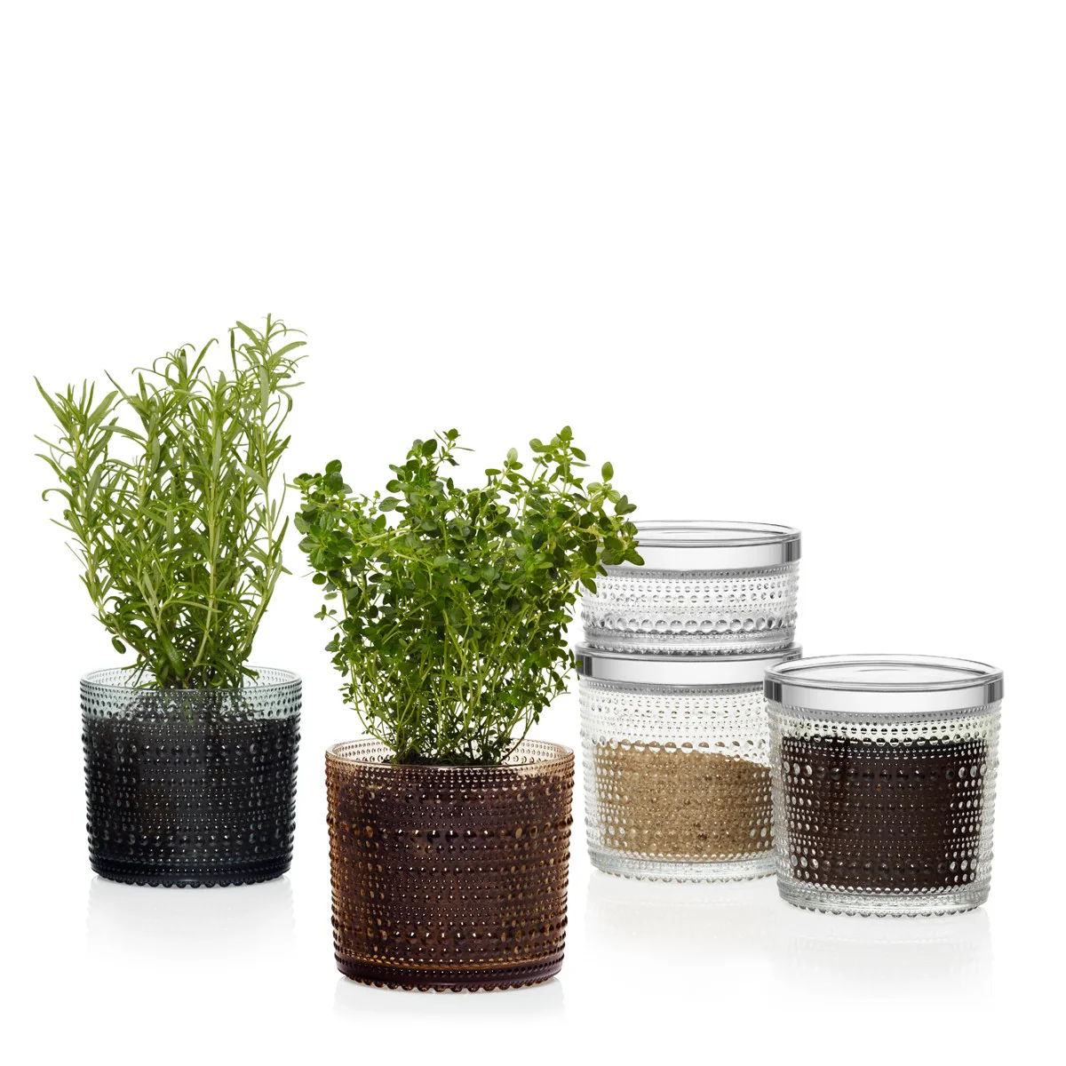 iittala Kastehelmi Clear Large Jar - Image 5