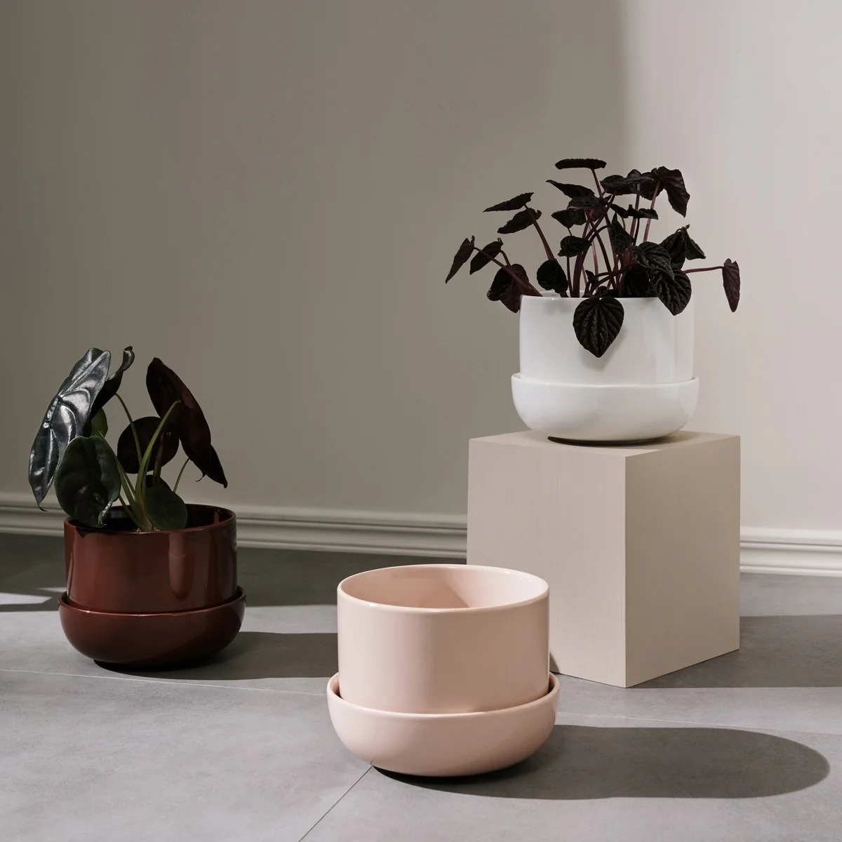 iittala Nappula Beige Plant Pot w/ Saucer - Image 3