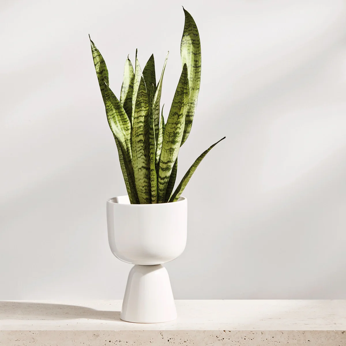 iittala Nappula White Short Plant Pot - Image 5