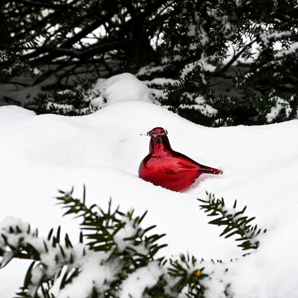Iittala Toikka Little Cranberry Tern - Image 2