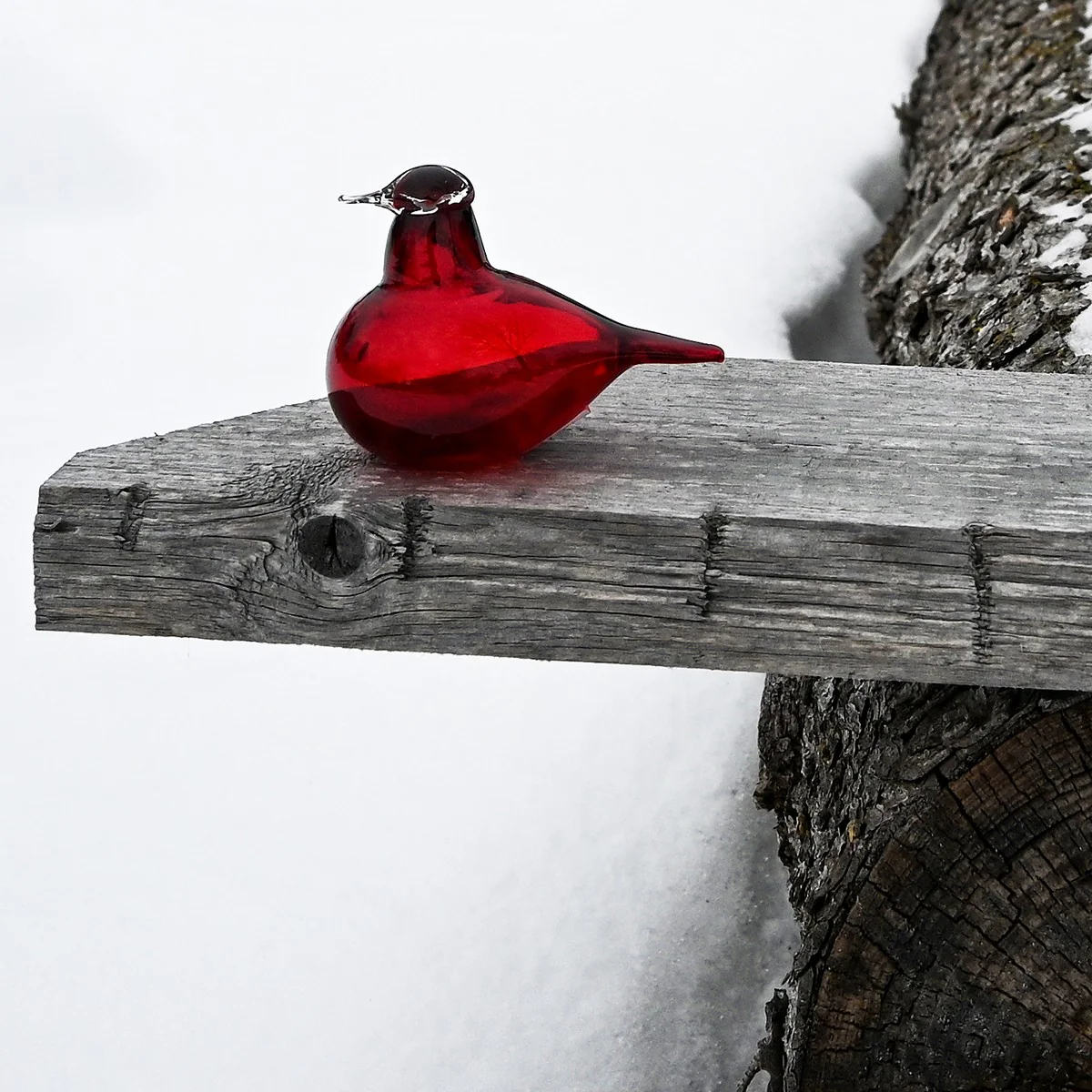 Iittala Toikka Little Cranberry Tern - Image 3