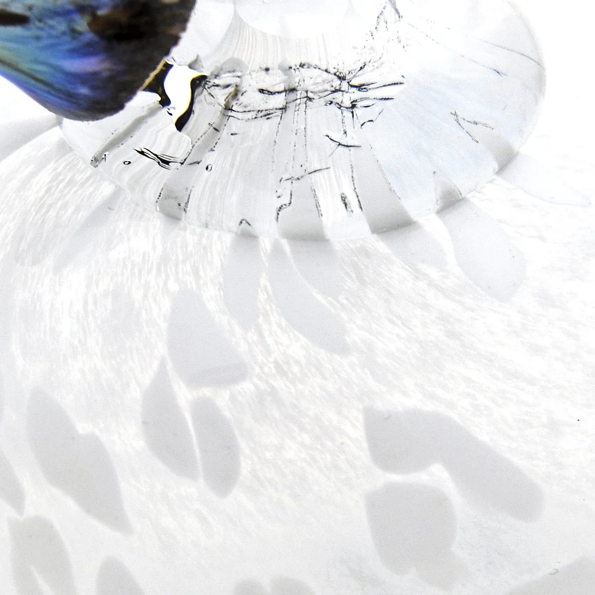 iittala Toikka Snow Finch - Image 6