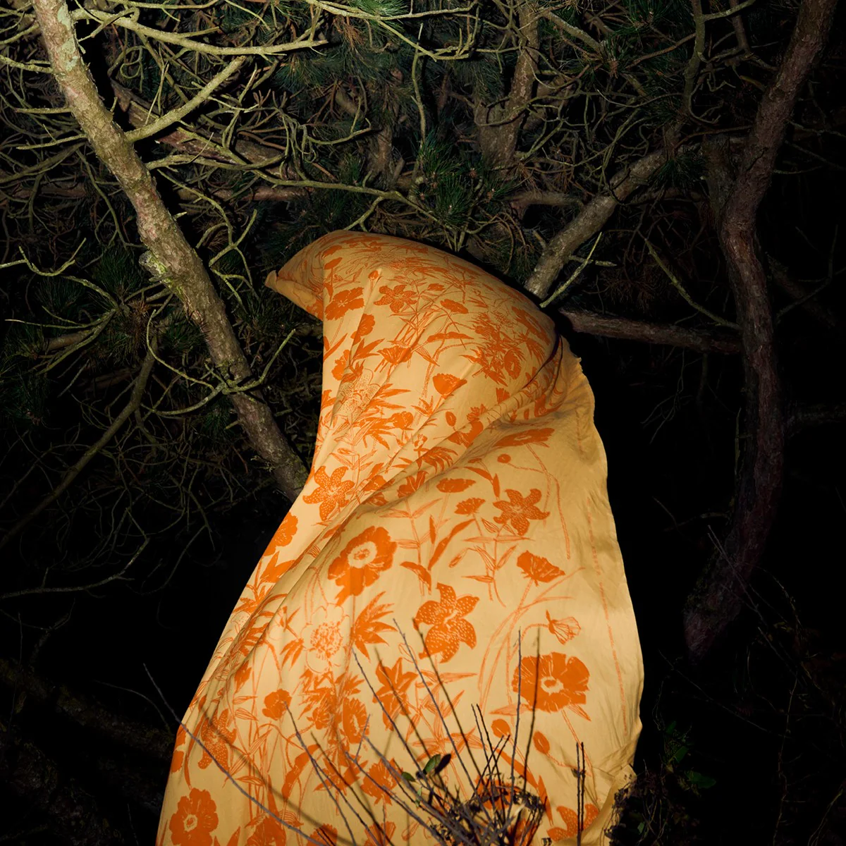 Marimekko Perenna Orange / Light Brown Cotton Canvas Fabric - Image 3