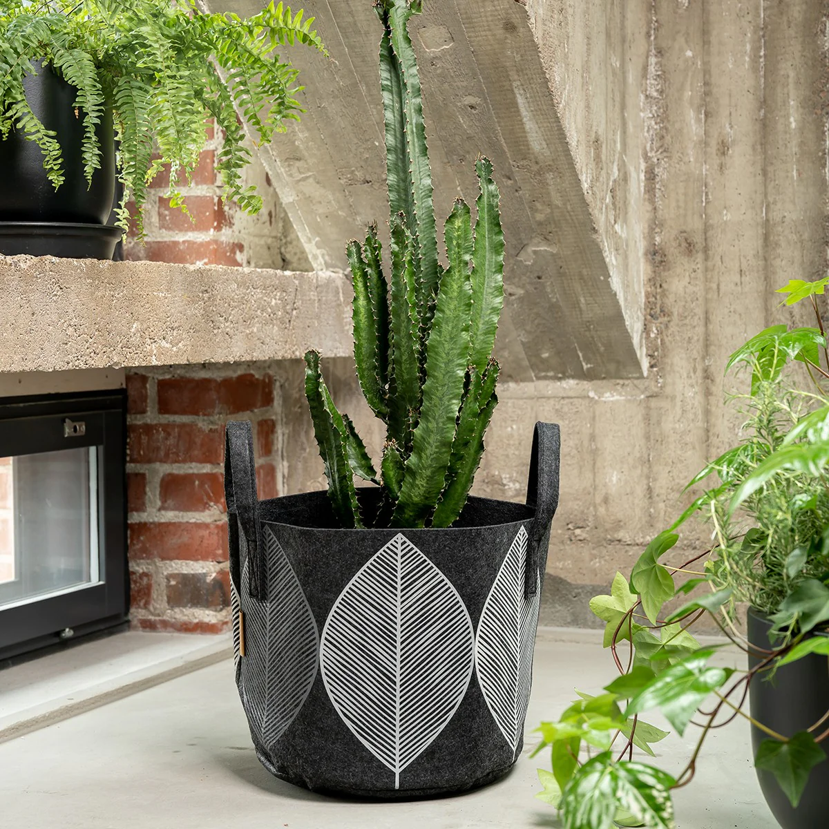 Muurla Dark Grey Leaf Storage Basket - Image 4