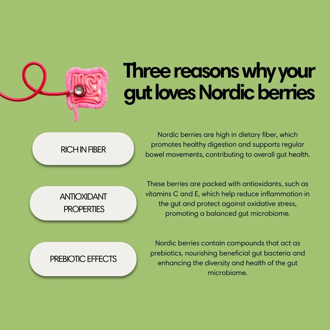 NordicNordic Polar Night Powder - Image 3